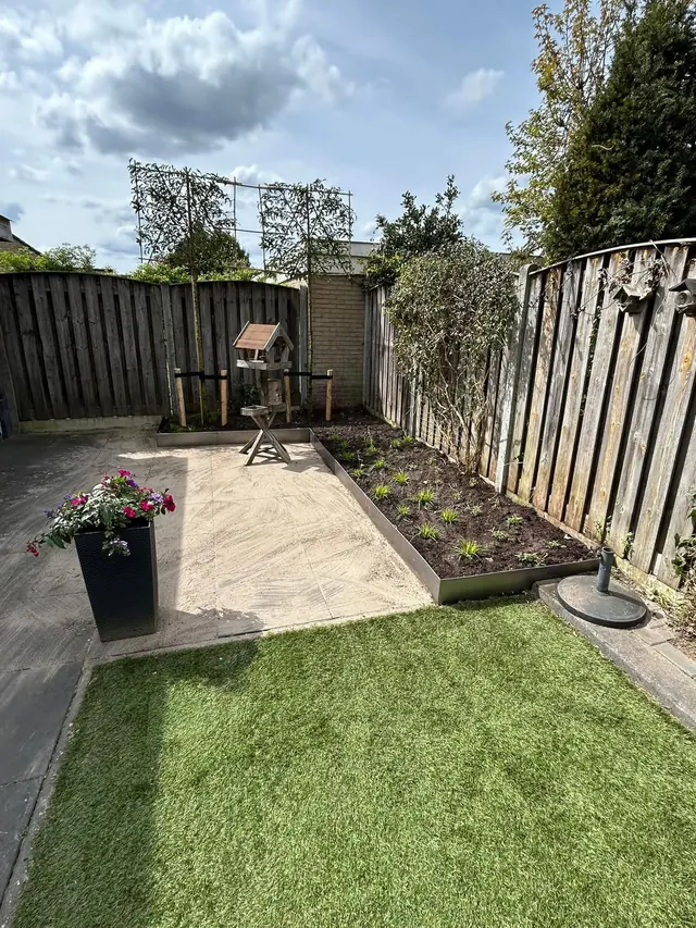 Achtertuin met een nieuw terras, een border met stalen rand, leibomen langs de schutting en kunstgras
