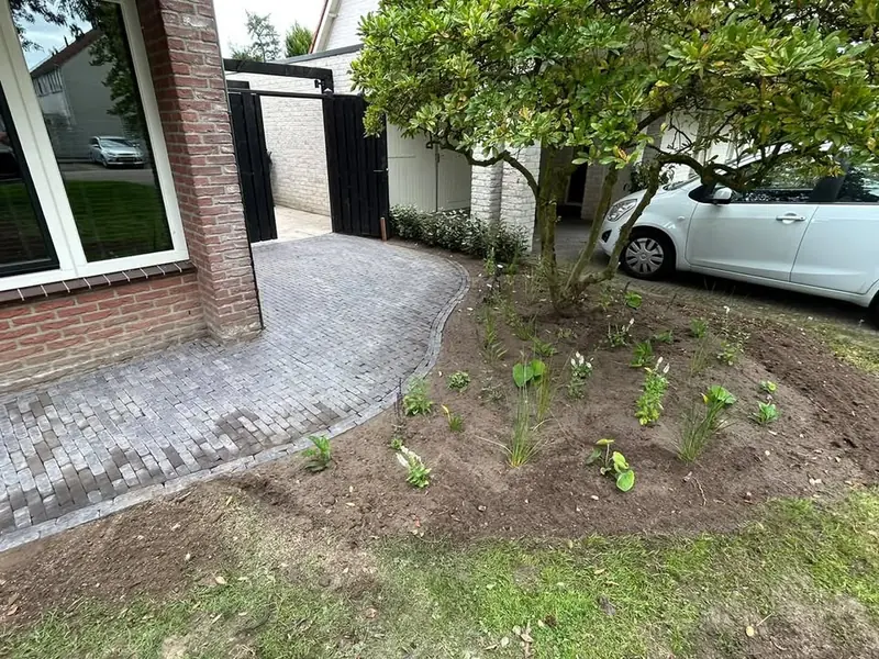 Voortuin met een gebogen pad van grijze gebakken klinkers en een nieuw aangeplante border