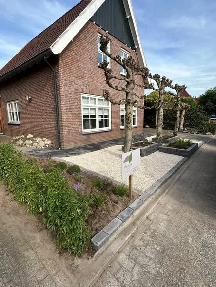 Voortuin in Goor met licht castle grind, drie leibomen, plantenbakken van stapelblokken en een border langs de stoep